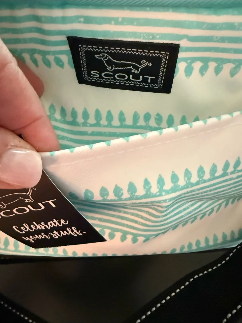 SCOUT the brand new Ferris Cooler Lunch Box with mint and white stripes. NWT!